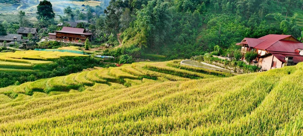 Madame View Homestay Sapa Exterior foto